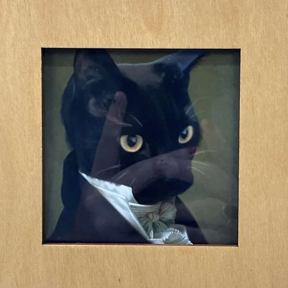 Wood Carved Cut Out‎ Cat Kitten Picture Frame Plants Quirky Kitschy Photo Gift